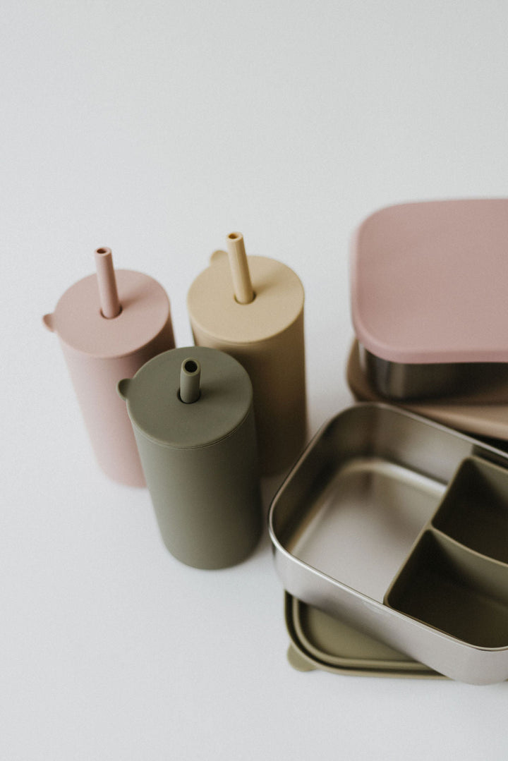 Stainless steel & Silicone Bento box