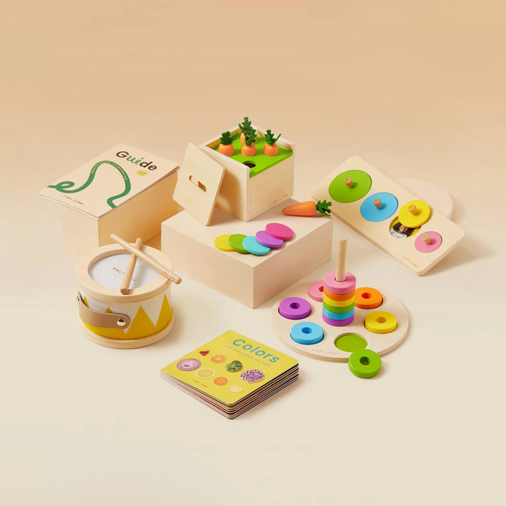 Tiny Land® Montessori Toys for Toddlers (13–15 Months)