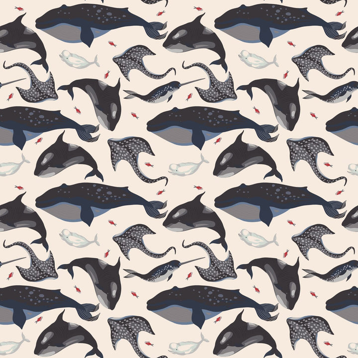 Deep Sea Creatures Whale Zipper Footie